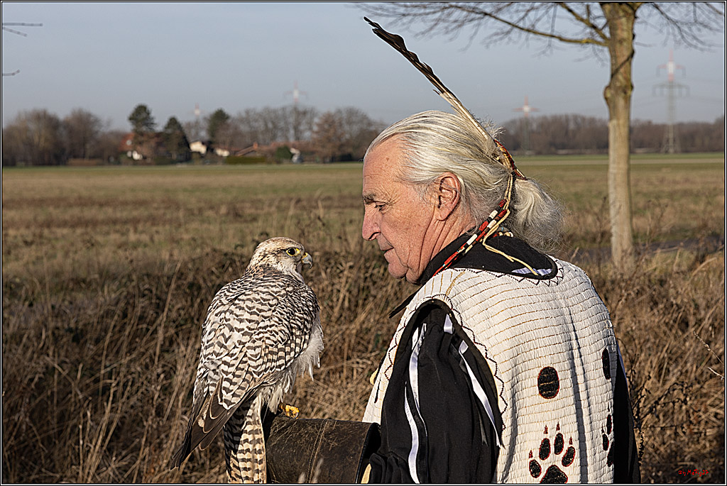 Cheyenne-Halbblut Hunting Wolf in der Falknerei Pierre Schmidt; Gymnich, 09.02.2023
